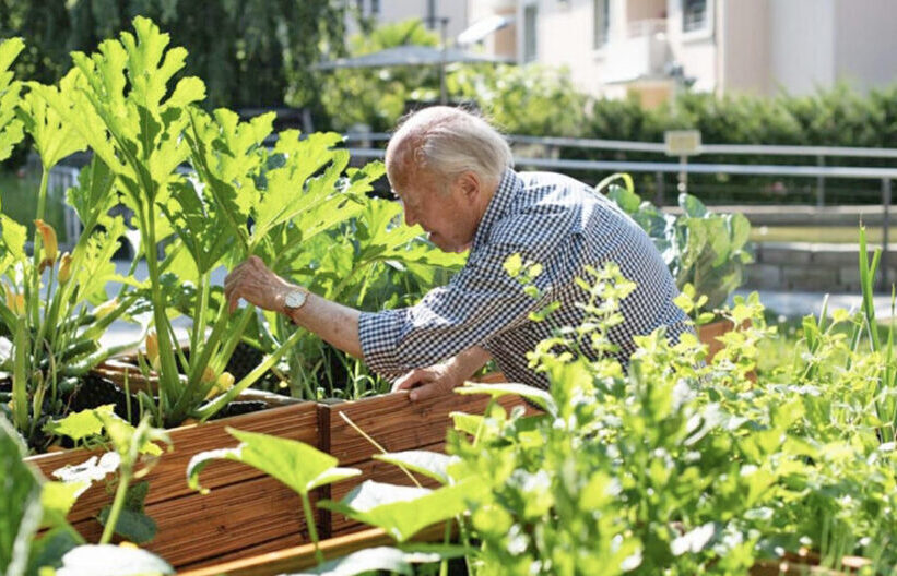 Mann im Garten